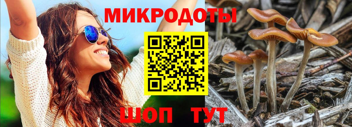 Галлюциногенные грибы Psilocybine cubensis  Галлюциногенные грибы прущие грибы  Вход с VPN  Коммунар 
