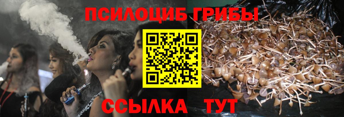Псилоцибиновые грибы мухоморы Коммунар